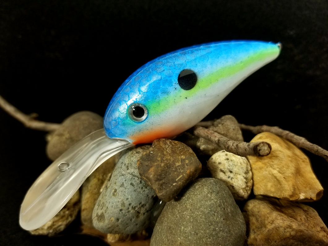 Rattling Deep Diver Fishtank Series Light Blue Chartreuse Shad – Funky Paint  Lures