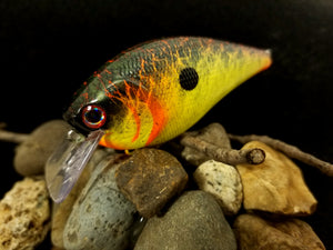 2.5 Rattling Squarebill Fishtank Series "Chartruese Flame Shad"