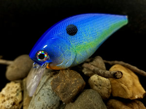 2.5 Rattling Squarebill Fishtank Series "Blueback Chartreuse Shad"