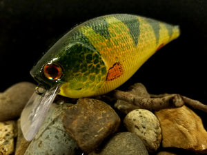 2.5 Rattling Squarebill Fishtank Series "Yellow Perch"