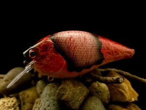 2.5 Rattling Squarebill Exposed Series "Fire Craw"