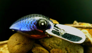 Dinger Custom Baits Chrome Wart "Blue Chrome"