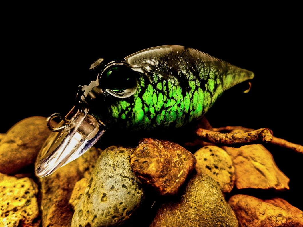 Mega Busted Black Chartreuse Shallow Diver – Funky Paint Lures