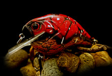 Load image into Gallery viewer, SKO Rattling Squarebill &quot;Red Tortoise Craw w/Gold Belly&quot;