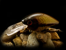 Load image into Gallery viewer, 2.5 Rattling Squarebill Fishtank Series &quot;Redeye Bass&quot;