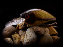 Load image into Gallery viewer, 2.5 Rattling Squarebill Fishtank Series &quot;Redeye Bass&quot;