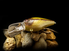 Load image into Gallery viewer, 2.5 Rattling Squarebill Fishtank Series &quot;Redeye Bass&quot;