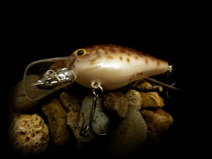 2.5 Rattling Squarebill "Brown Eel"