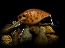 Load image into Gallery viewer, 2.5 Rattling Squarebill &quot;Light Brown Eel&quot;