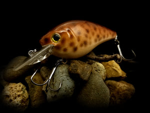 2.5 Rattling Squarebill "Light Brown Eel"