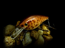 Load image into Gallery viewer, 2.5 Rattling Squarebill &quot;Light Brown Eel&quot;