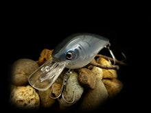 Load image into Gallery viewer, 2.5 Rattling Squarebill &quot;Gray Eel&quot;