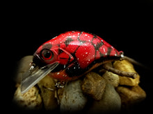 Load image into Gallery viewer, SKO Rattling Squarebill &quot;Red Tortoise Craw w/Gold Belly&quot;