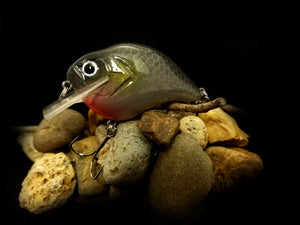 SKO Rattling Squarebill "Dark Gray Shad"