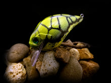 Load image into Gallery viewer, SKO Rattling Squarebill &quot;Bright Green Tortoise Craw&quot;