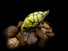 Load image into Gallery viewer, SKO Rattling Squarebill &quot;Bright Green Tortoise Craw&quot;