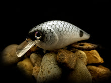 Load image into Gallery viewer, 1.5 Rattling Squarebill &quot;Gray Shad&quot;