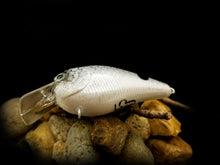 Load image into Gallery viewer, 1.5 Rattling Squarebill &quot;Gray Shad&quot;