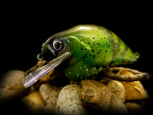 Load image into Gallery viewer, SKO Rattling Squarebill &quot;Speckled Green Craw&quot;