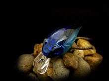 Load image into Gallery viewer, Mega &quot;Dark Blue Chartreuse&quot; Shallow Diver