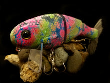 Load image into Gallery viewer, Custom 6&quot; Bucca Bull Shad Wake &quot;Funky Shad&quot;