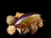 Load image into Gallery viewer, Topwater Wakebait &quot;Golden Seed&quot;