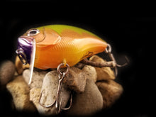 Load image into Gallery viewer, Topwater Wakebait &quot;Golden Seed&quot;