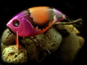 Topwater Wakebait "Ripped Crazy Craw"