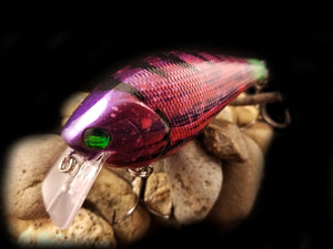 2.5 Rattling Squarebill "Purple Tiger"