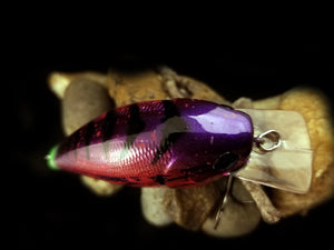 2.5 Rattling Squarebill "Purple Tiger"