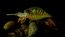 Load image into Gallery viewer, 2.5DD Medium Diver &quot;Chartreuse Bleeding Tiger &quot;