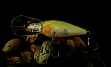 Load image into Gallery viewer, 2.5DD Medium Diver &quot;Chartreuse Bleeding Tiger &quot;