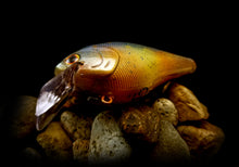 Load image into Gallery viewer, 2.5 Rattling Squarebill &quot;Faded Pumpkinseed&quot;