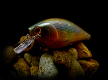 Load image into Gallery viewer, 2.5 Rattling Squarebill &quot;Faded Pumpkinseed&quot;