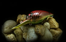 Load image into Gallery viewer, Dinger Custom Baits Chrome Wart &quot;Christmas Special&quot;