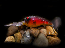 Load image into Gallery viewer, Crawler &quot;Fall Red Craw&quot;