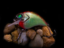 Load image into Gallery viewer, SKO Silent Squarebill &quot;Christmas Craw&quot;