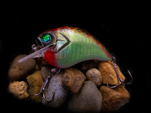 SKO Silent Squarebill "Christmas Craw"