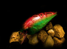 Load image into Gallery viewer, 2.5 Rattling Squarebill &quot;Christmas Craw&quot;