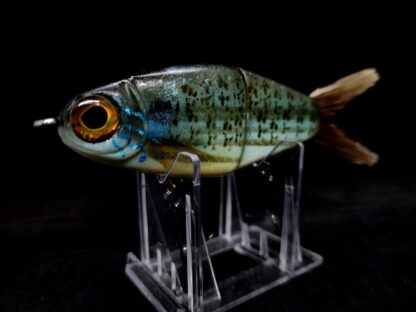 OGCL Tink Shad "Sunfish" - Image 3