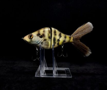 OGCL 7" Crappie "Black Crappie"