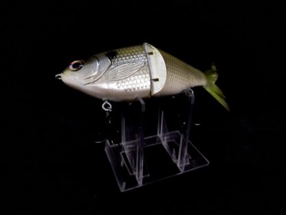 Big Belly Shad "Threadfin" - Image 3