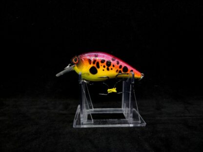 2.5 DRS "Summer Clown" Square Bill