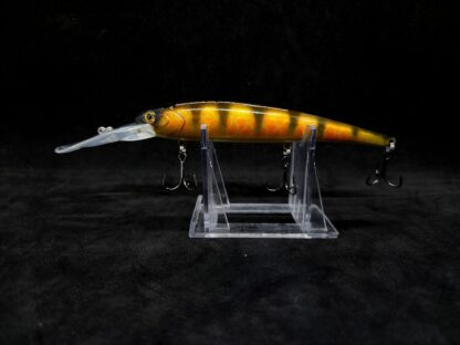 Holo Bandido "Perch"