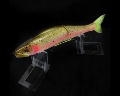 Custom Super G 303 “Rainbow Trout” - Image 3