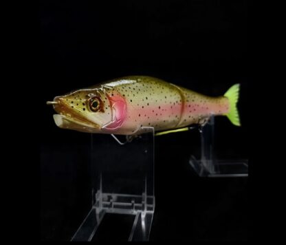 Custom Super G 303 “Rainbow Trout” - Image 2